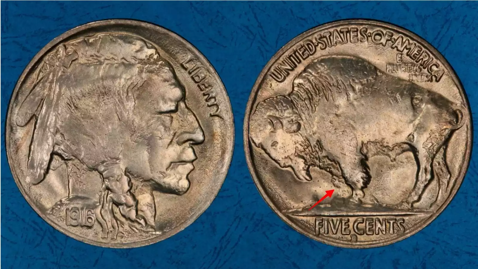 1916-D Buffalo Nickel 3½ Legs variety FS-901 showing the partially missing right front bison leg